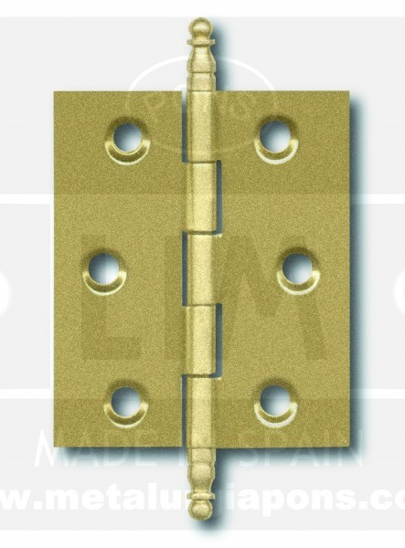 BISAGRA FIJA 207 DE 60X40 LATONADA