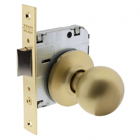 CERRADURA POMO 3920/50 LATON PULIDO